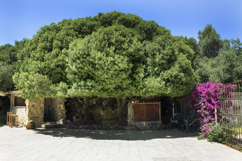 Agriturismo Il Paradiso Iglesias Exterior foto